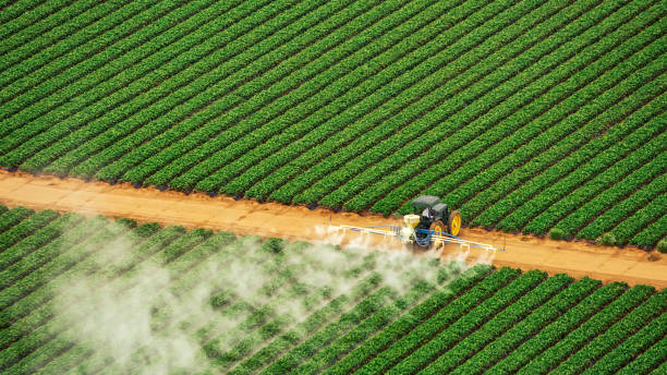 Best Mosquito Control Services  in Redington Shores, FL